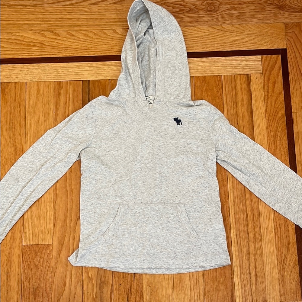 Ambercrombie Kids Gray Kids Hoodie with Logo
